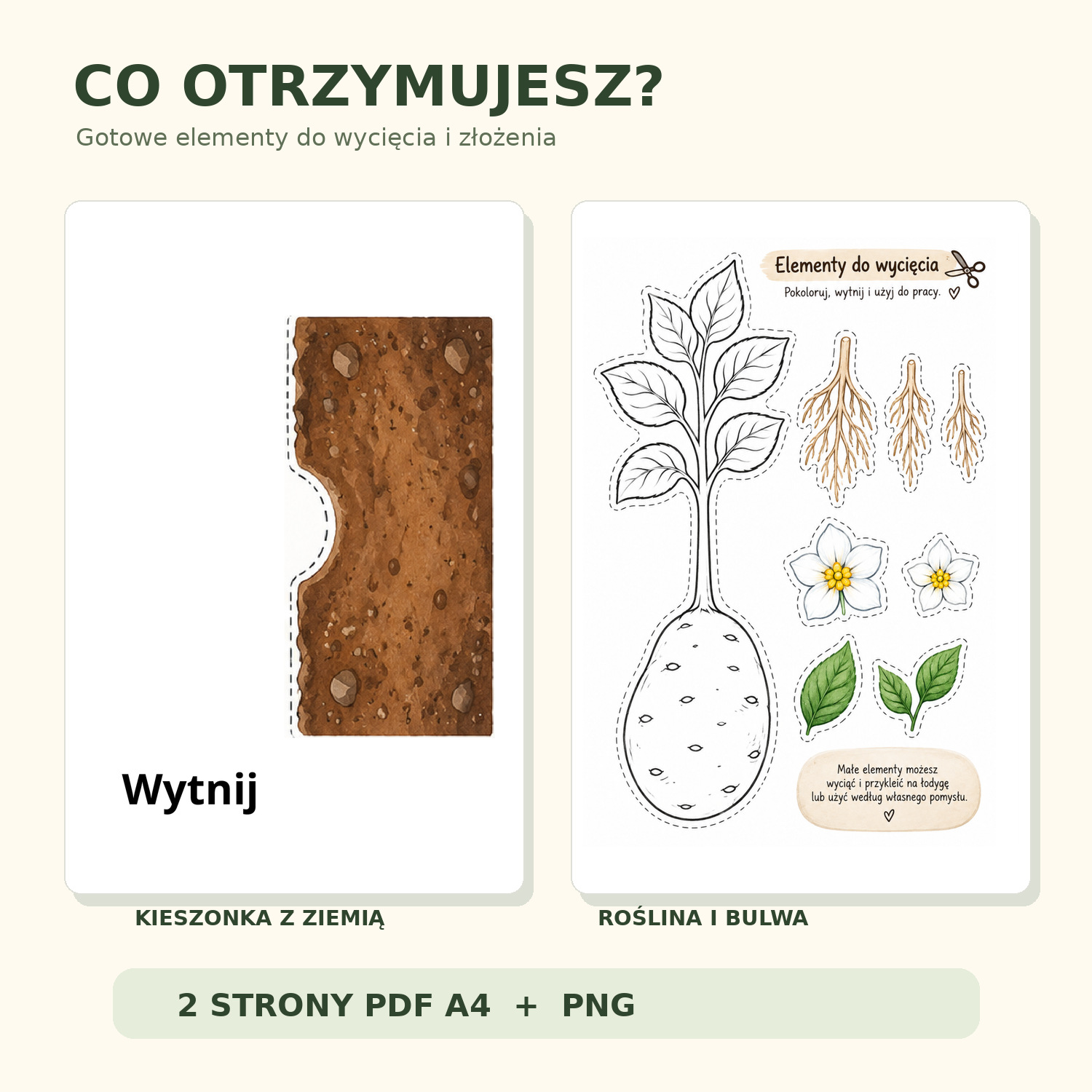 Co zawiera praca plastyczna na Dzień Ziemniaka – dwie strony A4: kieszonka i elementy rośliny ziemniaka