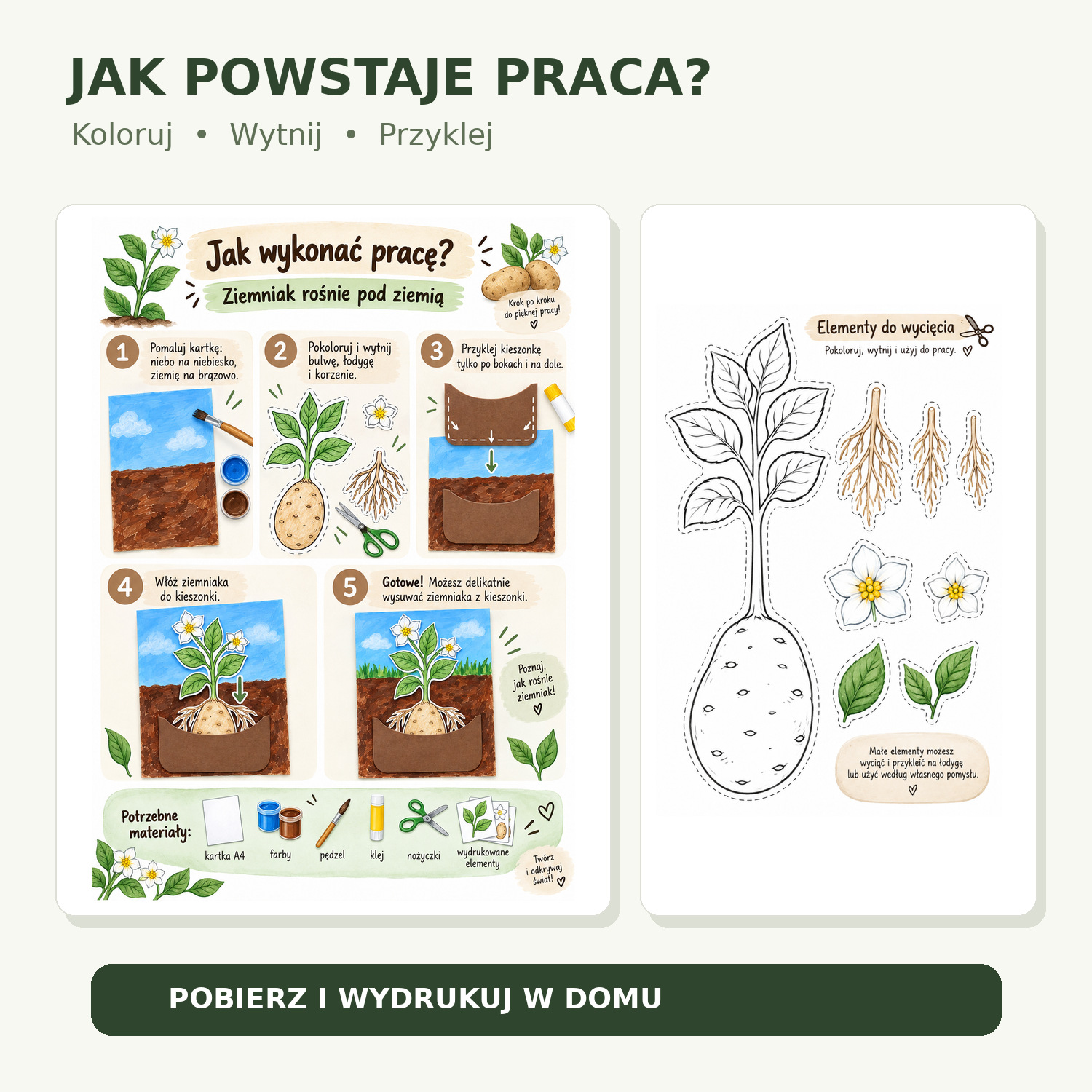Instrukcja wykonania i szablony do druku na Dzień Ziemniaka – ziemniak rośnie pod ziemią